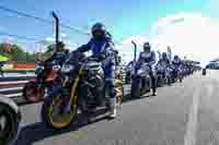 Lower Group Silver_Grey Bikes